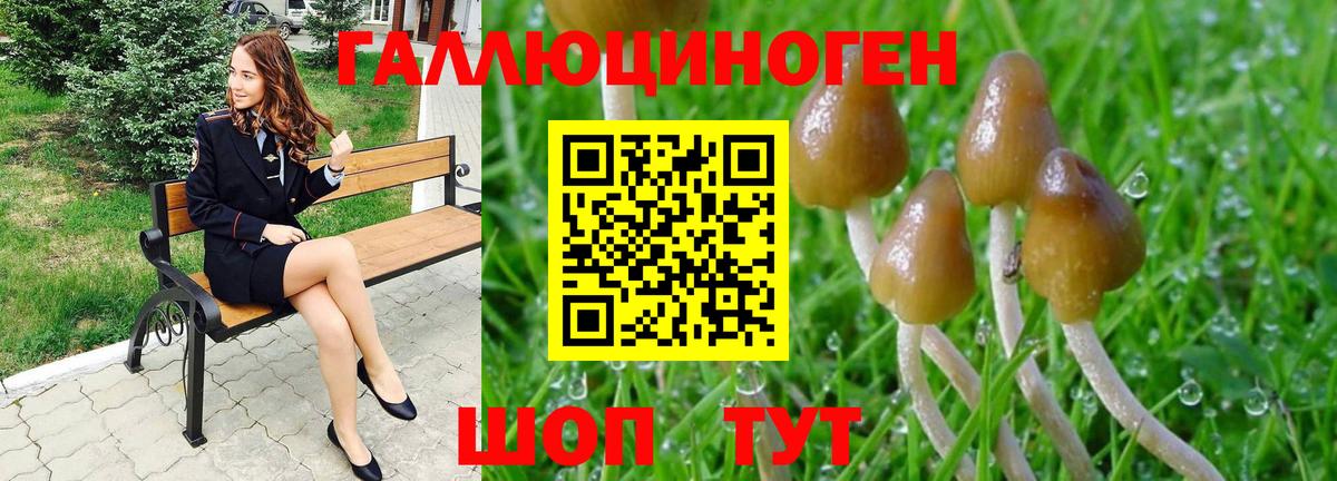 Псилоцибиновые грибы Psilocybe  Вход с VPN  Псилоцибиновые грибы Cubensis  Заречный 